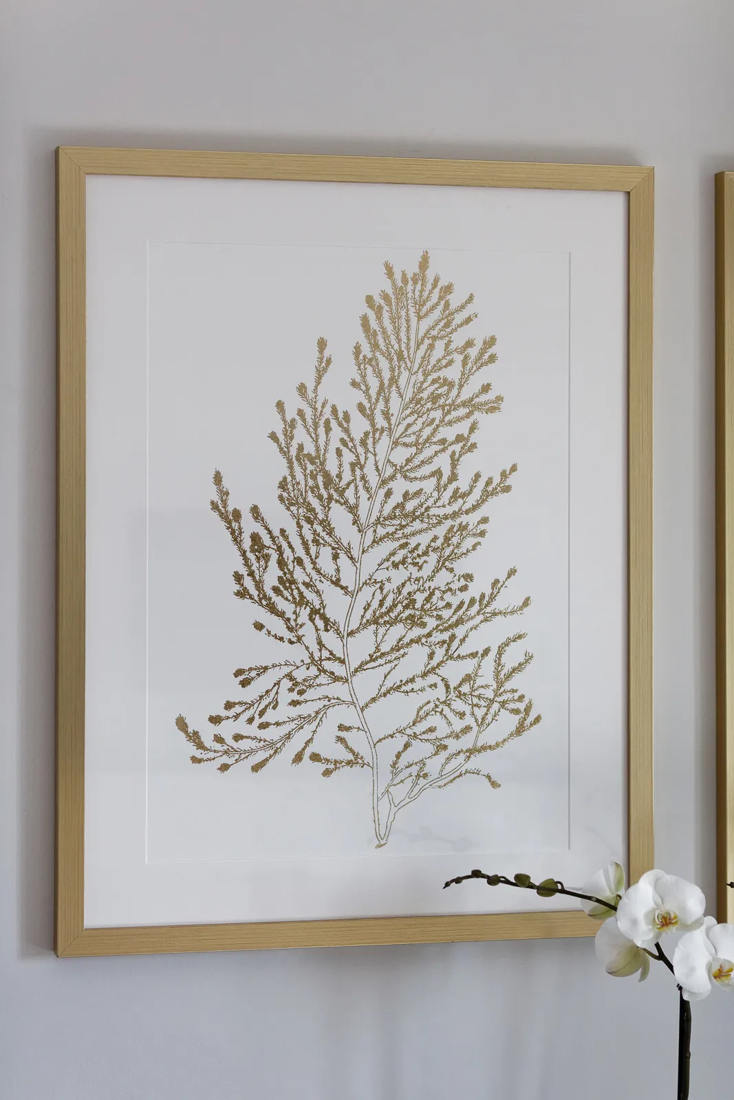 Côte d’Azur — Gilded botanical artwork